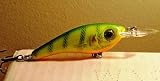 Cordell Grappler Shad Bass Fishing Crankbait 41auKxEeRIL. SL160 Cordell Grappler Shad Bass Fishing Crankbait