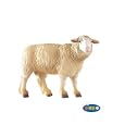 Merinos Sheep (5)