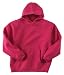 Authentic Pigment Ringspun Youth Pullover Hoody