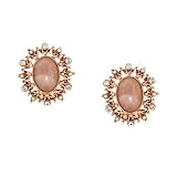 Image of Rose Bliss Ornate Frames Clip On Earrings