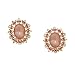 Rose Bliss Ornate Frames Clip On Earrings