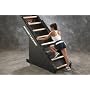 Jacobs Ladder