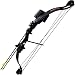 Bear Archery Warrior 2