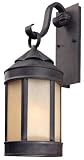 Anderson's Forge Outdoor Wall Lantern - 9 inches wide