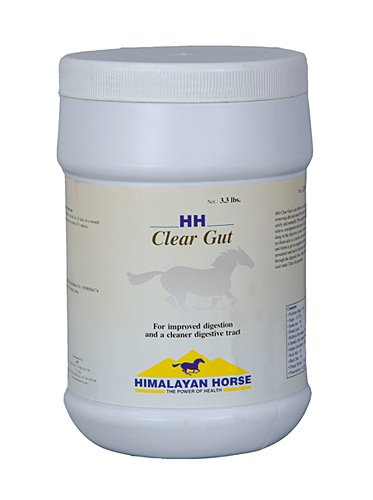 Himalayan Horse Clear Gut