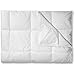 where do I find down comforters refurbish 41avNhMHOSL. SL75 where do I find down comforters refurbish