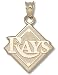 Tampa Bay Rays 14K Gold Pendant