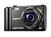 Sony Cyber-shot DSC-H55 14.1MP Digital Camera with 10x Wide Angle Optical Zoom with SteadyShot Image Stabilization and 3.0 inch LCD (Black)
