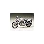 1/12 �I�[�g�o�C 1100�J�^�i 14010