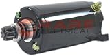 New Lynx Snowmobile Starter 128000-4290, 128000-4291 1999-2008