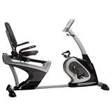 DKN RB-3 Recumbent Exercise Bike
