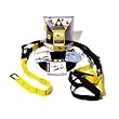 TRX Suspension Professional Trainer ~ TRX
