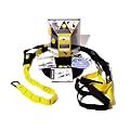 TRX Suspension Professional Trainer