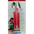 TOOL SET INDOOR PLANTS 3PC