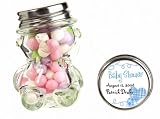 Baby Keepsake: Blue Festive Baby Shower Design Personalized Teddy Bear Glass Candy Ja (Set of 24)