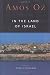 In the Land of Israel (Harvest in Translation)