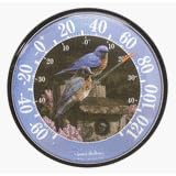 James Hautman 12 In Outdoor Bluebird Therm. by A Bird's Home