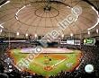 2008 Tropicana Field Tampa Bay Rays MLB 8x10 Photograph 2008 World Series Game 1 Flag
