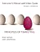 Principles of Marketing. Instructor`s Manual with Video Guide.