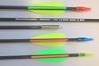 Securarchery Carbonpfeil für Sportbogen 3er-Pack