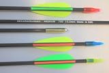 Securarchery Carbonpfeil für Sportbogen 3er-Pack