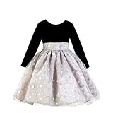 Baby Little Girls Clothes SILVER SPARKLE Christmas Holiday Dress LITO 12M-12