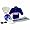 New York Giants