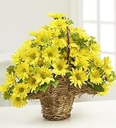 Floral Flowers - Summer Daisy Basket - Large