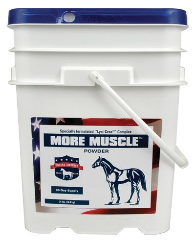 MORE MUSCLE - 24 LB