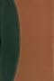 Biblia de referencia Thompson,  dos tonos, negro/marron (Spanish Edition)