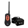 DT Systems - H2O 1810 PLUS One Remote Trainer - (Two Dog System)