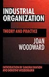 Industrial Organization: Theory and Practice