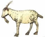Small Billie Goat : Recycled Metal Animal Garden Art Sculpture