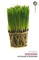 Ecolocash : Une écologie de circonstance