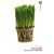 Ecolocash : Une �cologie de circonstance