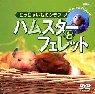 �n���X�^�[�ƃt�F���b�g/�������Ⴂ���̃N���u [DVD]