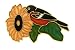 Hand enameled and gold plated Baltimore Oriole and black eyed susan pin or brooch