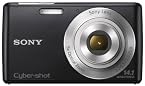 Sony Cyber-shot DSC-W620 14.1MP Point-and-Shoot Digital Camera (Black) with Camera Case