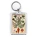 Carrot, 1984 (ink & w/c on paper) by Sophie Grandval - Acrylic Keyring - Art247 - Standard Size