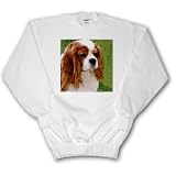 Dogs Cavalier King Charles Spaniel - Cavalier King Charles Spaniels - Sweatshirts