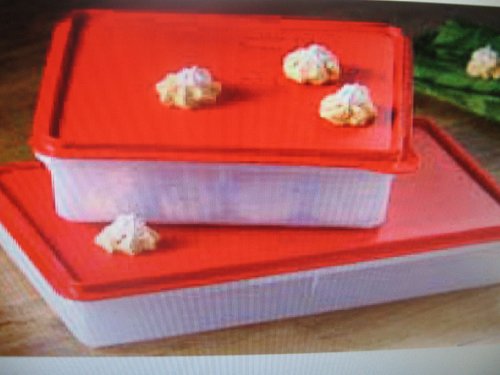 Tupperware Prep Essentials Snack and Store Container and Cold Cut Keeper