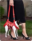 Dog Harness Vest (Red with Gold Brocade)