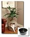 Kitchen & Housewares : Hidden Litter Tuscany Cat Liter Box and Liner