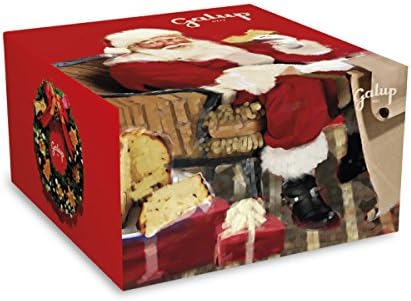 Galup Christmas Panettone with dark chocolate fondant chips - 2.2 lbs.