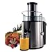 The Sharper Image 8021SI Stainless-Steel 700-Watt Super Juicer