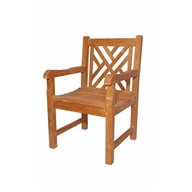 Vilano Dining Armchair
