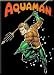 DC Comics Aquaman Magnet 29751DC