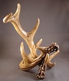 Faux Antler Wine Bottle Rack Holder Lodge Accent
