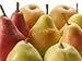 Crispy Treat (Certified Organic Pears) Who's That Crunching on Our Organic Pears? It's You! With the Season's Best of Two of the Crisper Variety of Pears, You'll Have Your Pick Between the Earthy Goodness of the Bosc Pear or the Sweet Flavor-richness of the Green D'anjou. Enjoy!