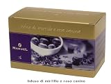 Infusio di Mirtillo e rosa canina - Blueberry infusion